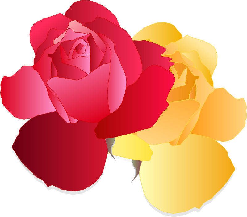 Minden Roses Emblem