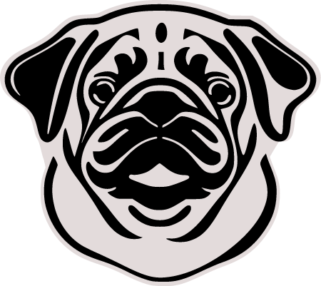 Pug Dog