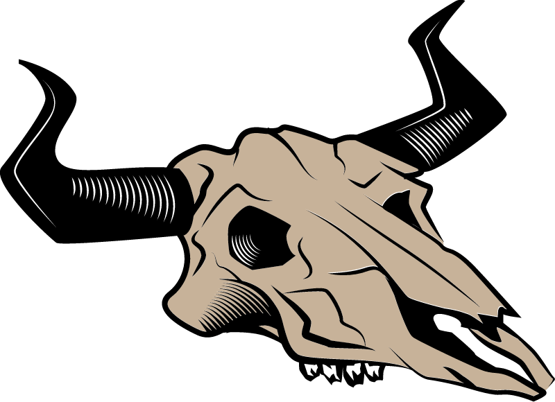 Animal Skull with Antlers