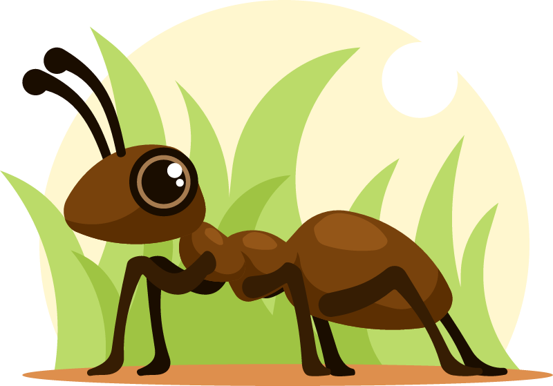 Ant Insect in Natural Habitat
