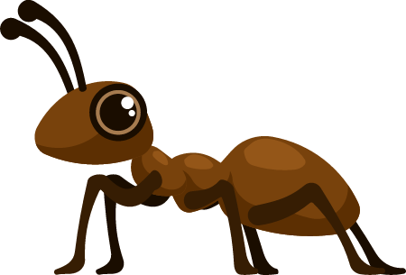 Ant Insect in Natural Habitat