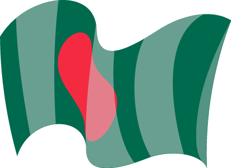 Bangladesh State National Flag