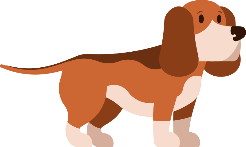 Basset Hound Hunting Dog