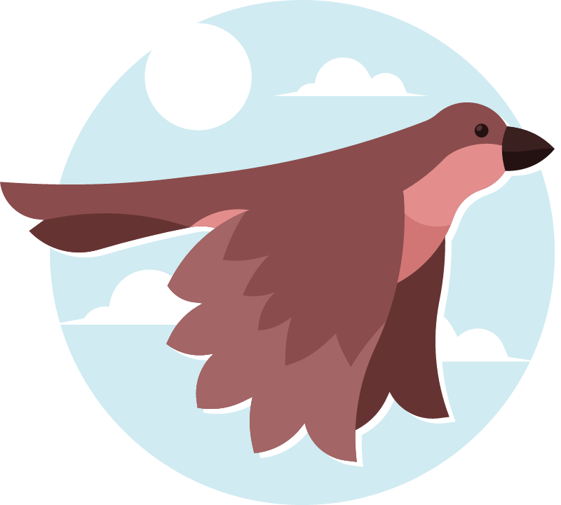 Bird in Motion Over Clear Sky