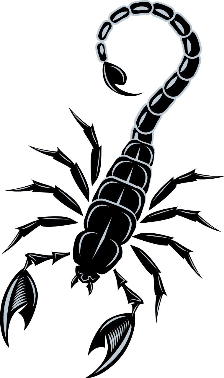 Black Silhouette of a Scorpion