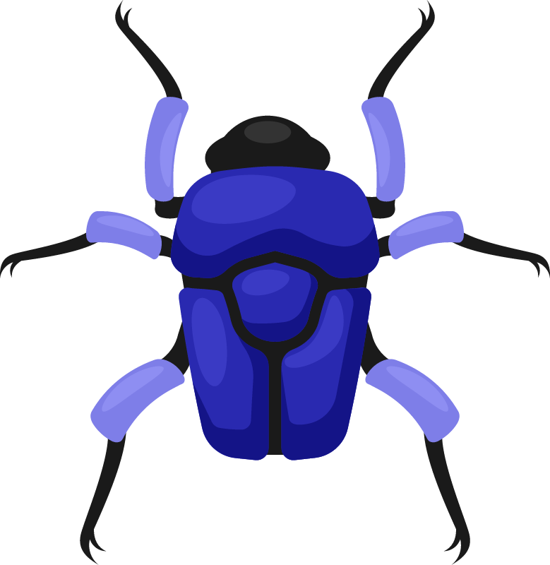 Blue Colored Beetle