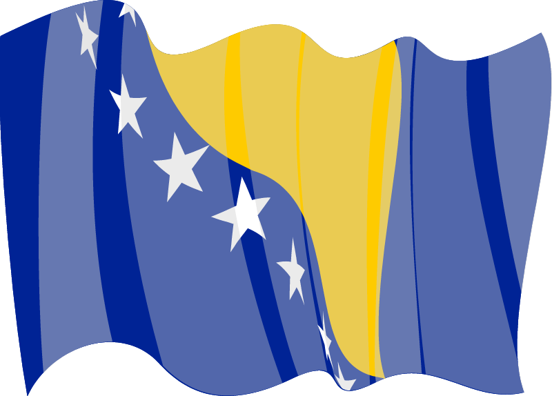 Bosnia and Herzegovina Flag Display