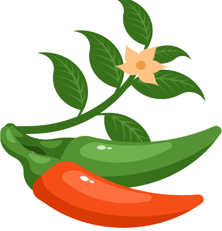 Bright Red and Green Chili Peppers