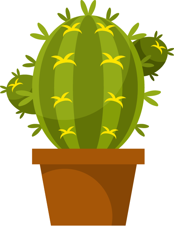 Cactus with Blooming Flower in Pot
