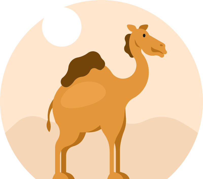 Camel Walking in Desert