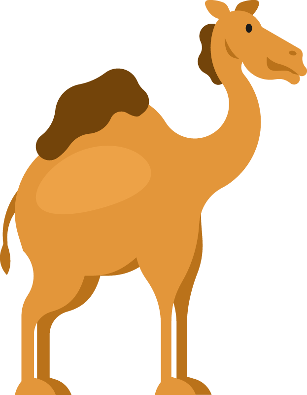 Camel standing