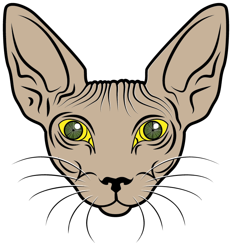 Cartoon Sphynx Cat Face