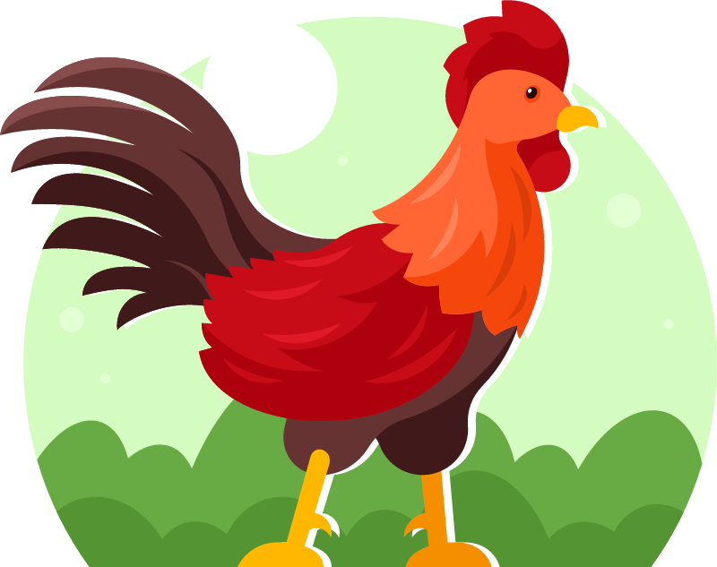 Colorful Rooster Roaming Garden