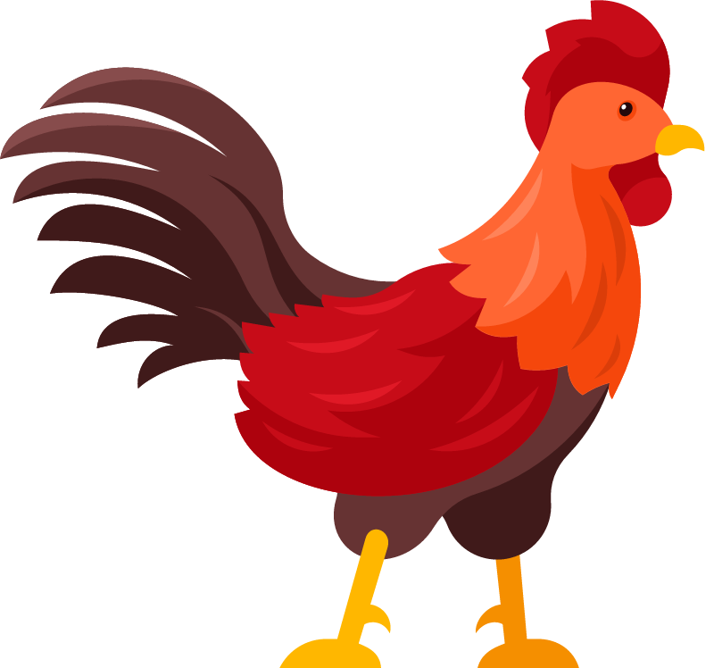 Colorful Rooster Roaming 