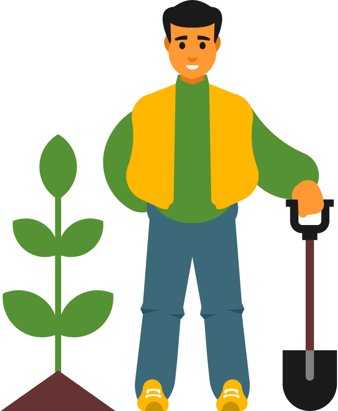 Crop Cultivation in Progress by Farmer