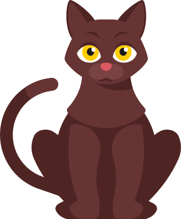 Cute Cat as a Beloved Pet