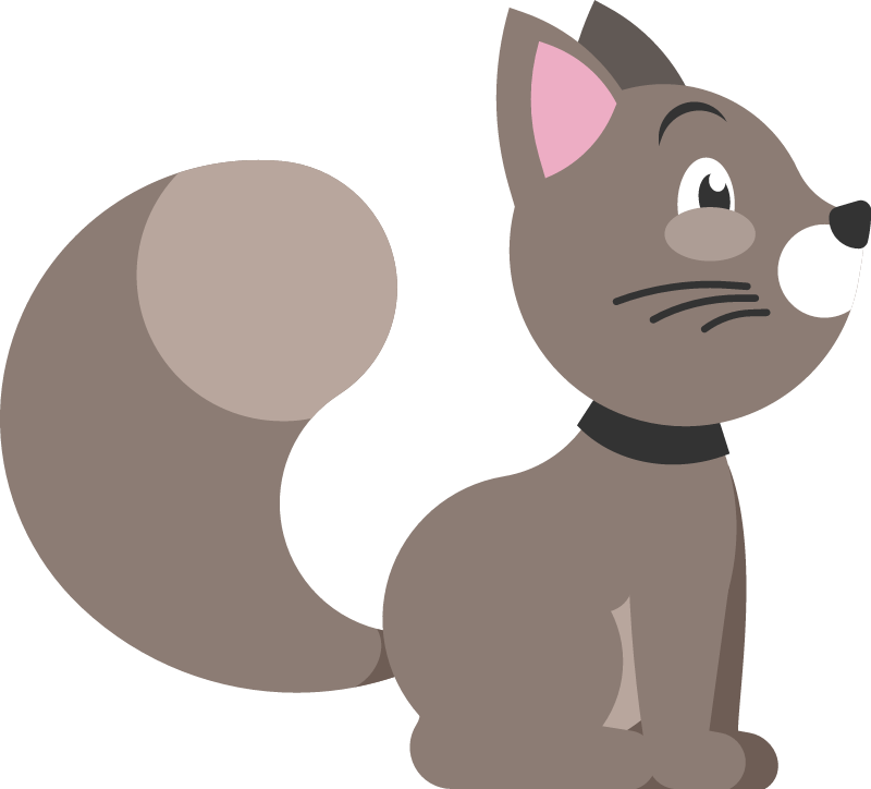 Cute Cat Wearing Black Neckband