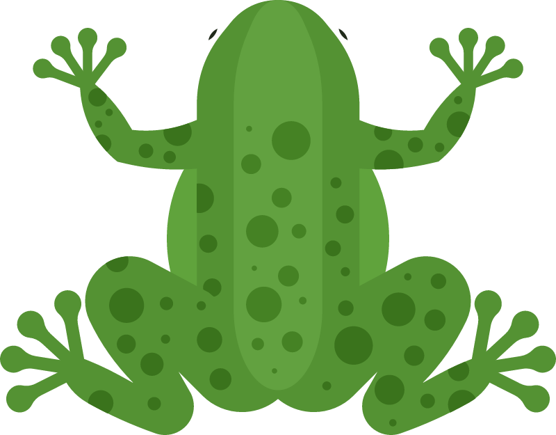 Cute Frog 