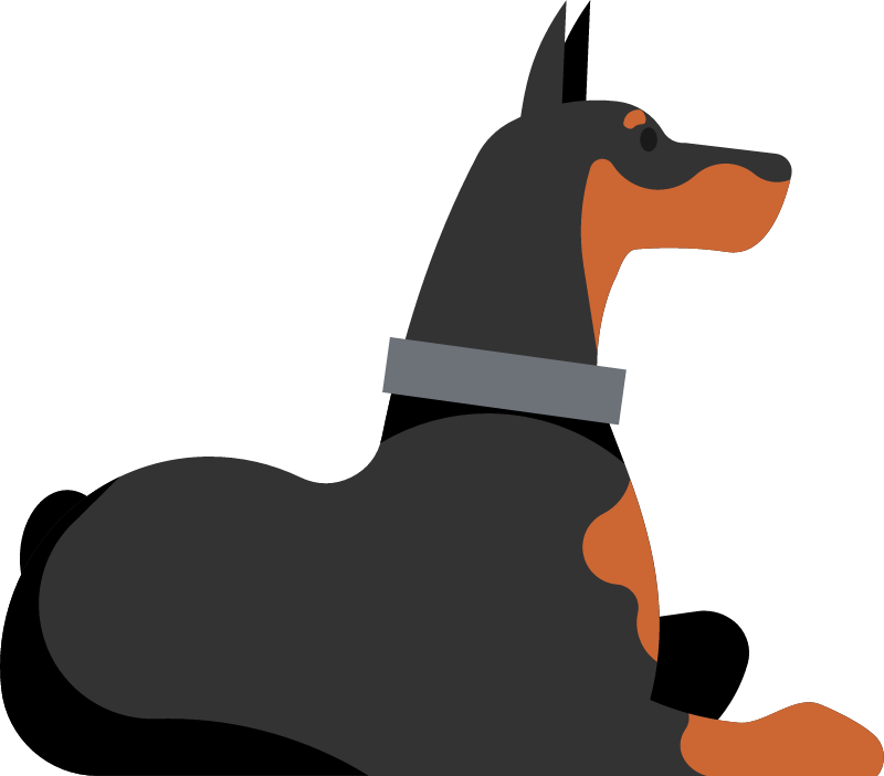 Doberman Dog with Collar