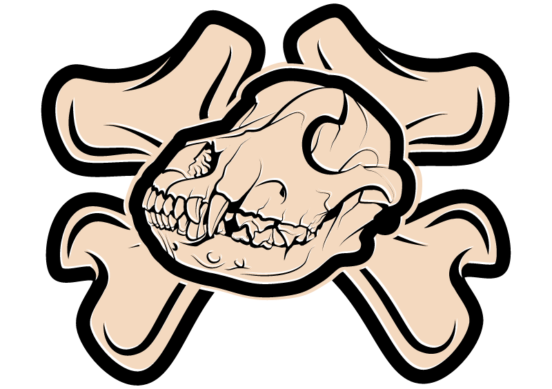 Dog Skull Displayed Alongside Bone