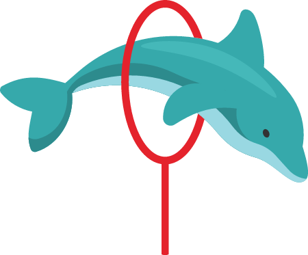 Dolphin Jumping Through a Hoop