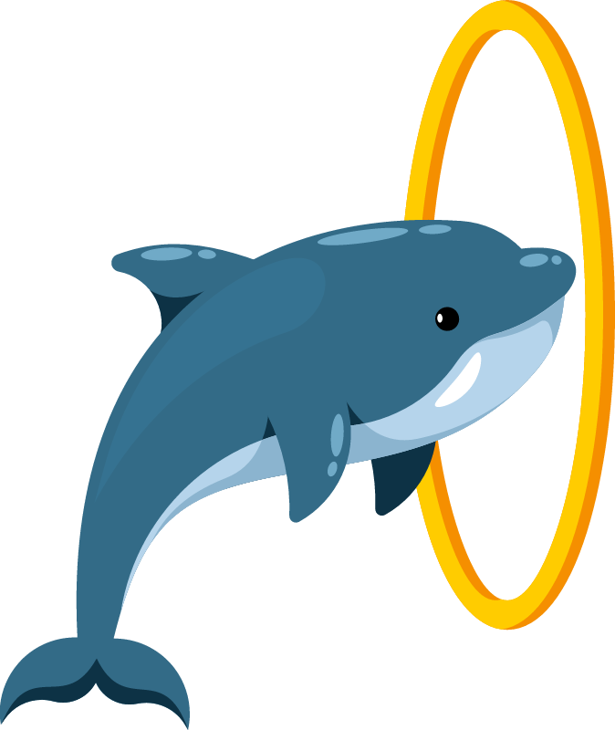 Dolphin Performing Jump Through Ring