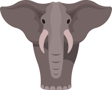 Elephant with Big Ears in Close-Up View