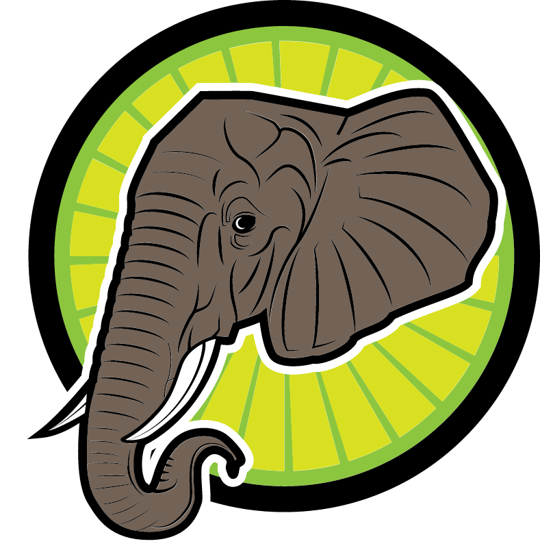 Elephant's head with tusks