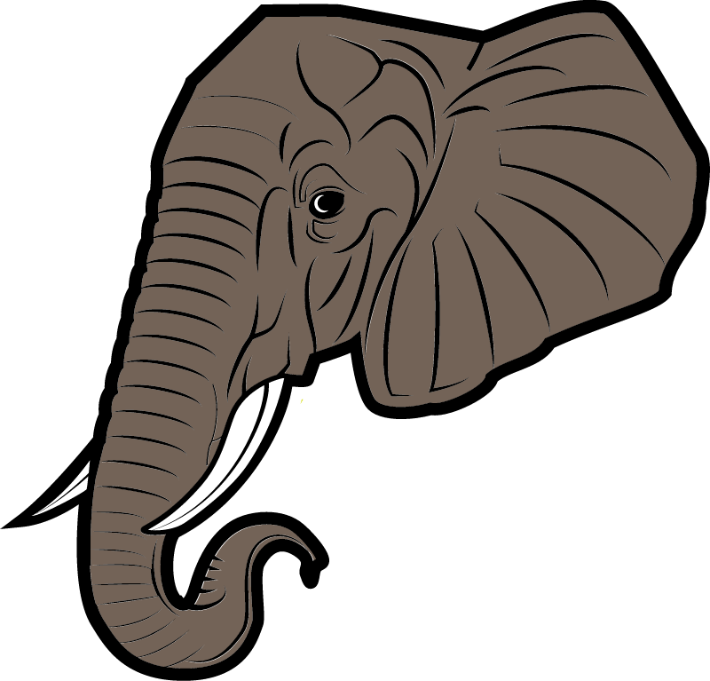 Elephant's head with tusks