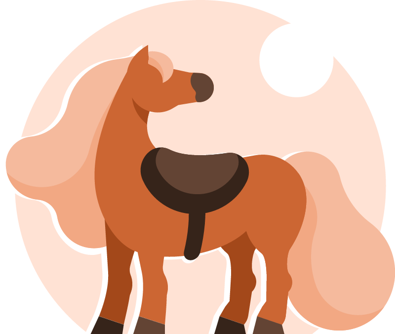 Equipped Pony Ready for Ride