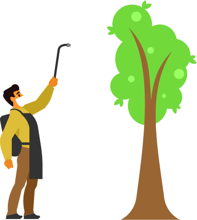 Farmer Spraying Pesticides on Tree