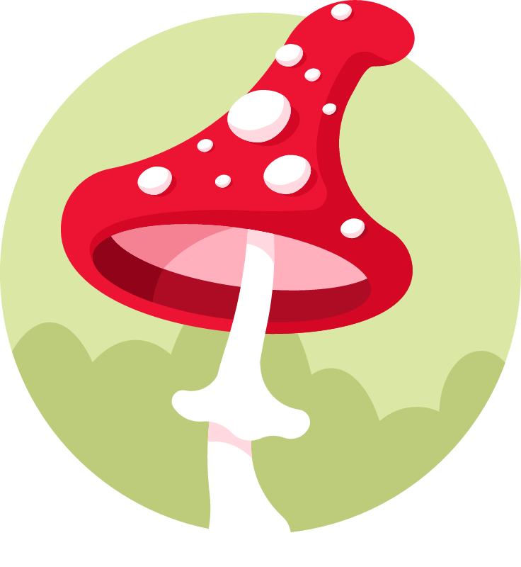 Fly Agaric Mushroom Depicted Elegantly
