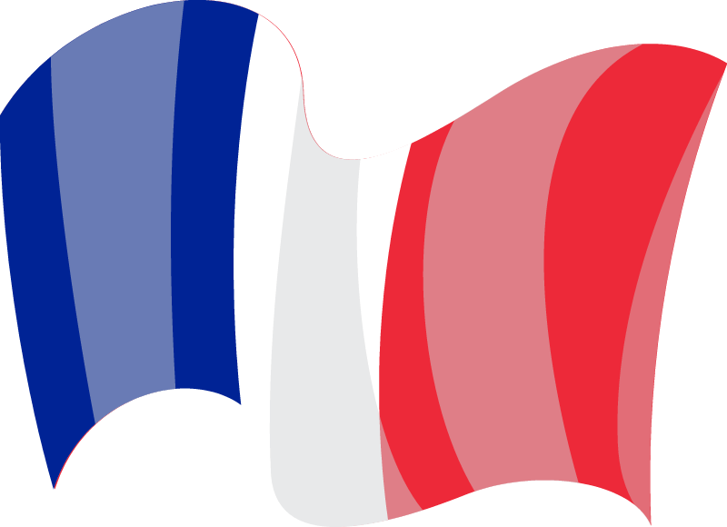 French National Flag in Elegant Motion