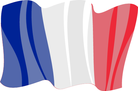 French National Flag in Motion