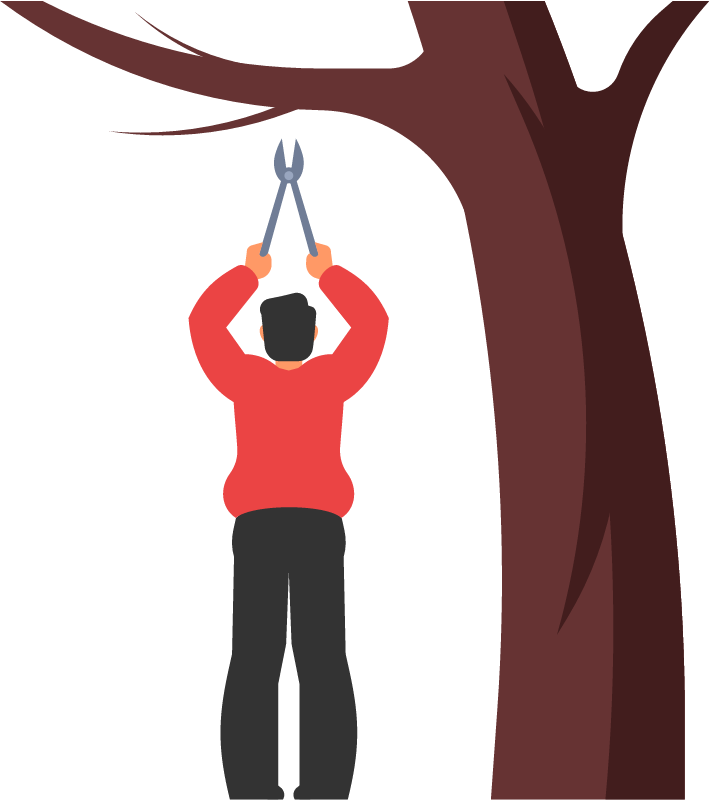 Gardener Cutting Branches with Shears