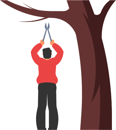 Gardener Cutting Branches with Shears