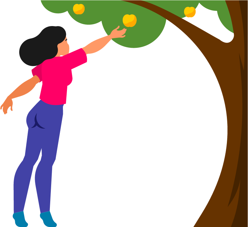 Girl Picking Apples in Orchard