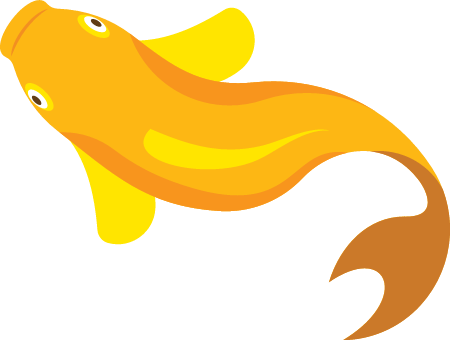 Goldfish Top View Swimming Gracefully