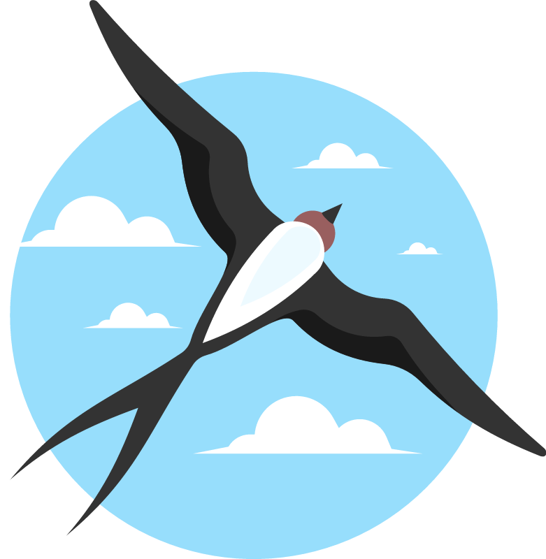 Graceful Swallow Gliding in Sky
