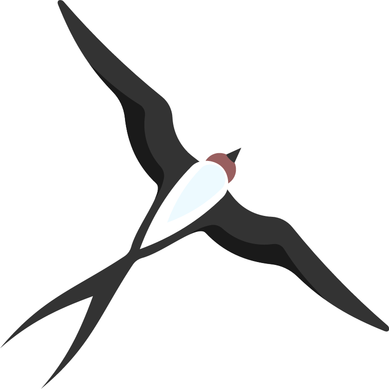 Graceful Swallow Gliding