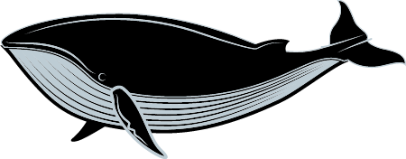 Graceful Whale