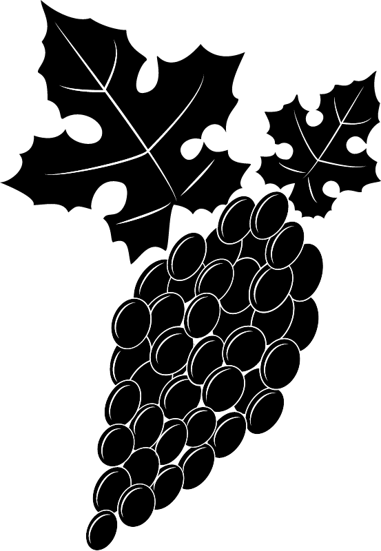 Grape Cluster in Black and White