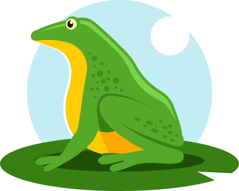 Green Frog Resting Gracefully on Leaf