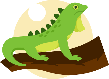 Green Iguana Perched Elegantly on Branch