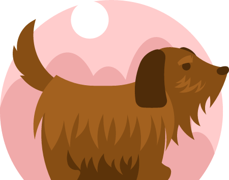 Hairy Dog Standing Calmly