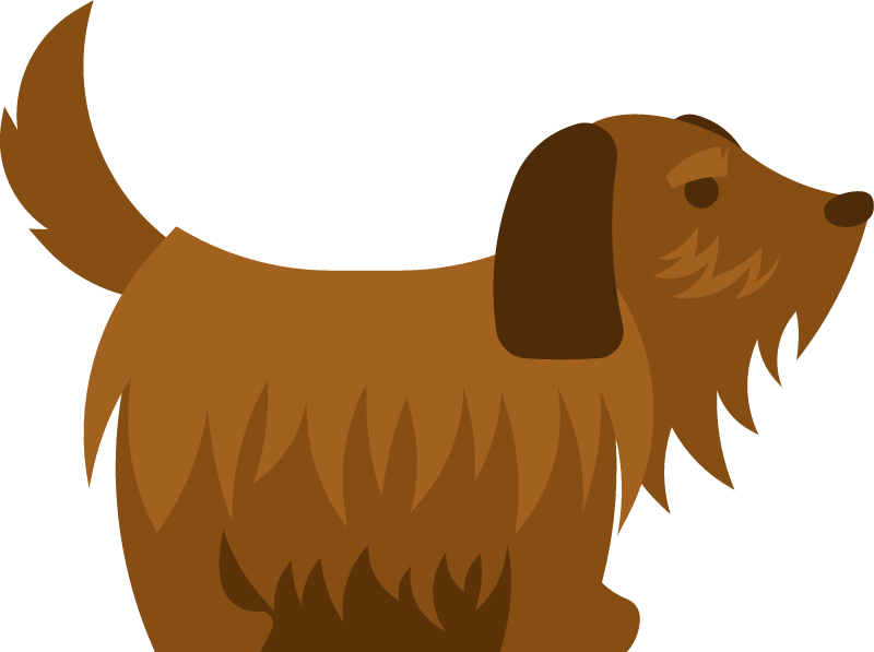 Hairy Dog Standing Calmly
