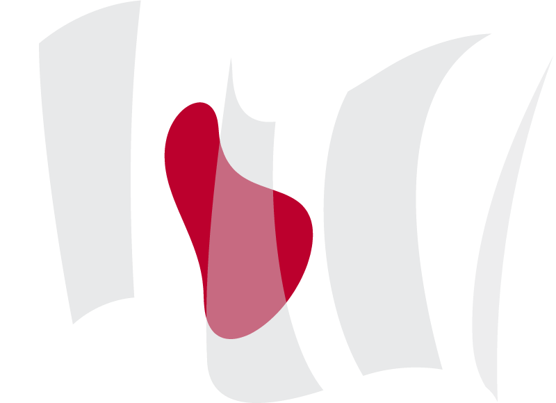Japanese National Flag Waving Elegantly