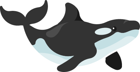 Killer Whale Swimming Gracefully