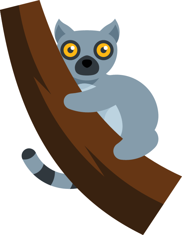 Lemur on a Tree Observing Calmly