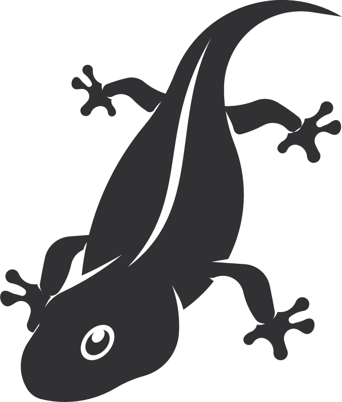 Lizard Silhouette Displayed Gracefully